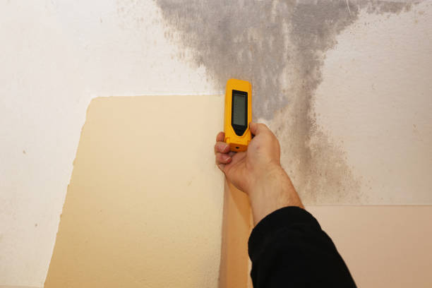 Best Real Estate Mold Inspection  in Somerset, WI