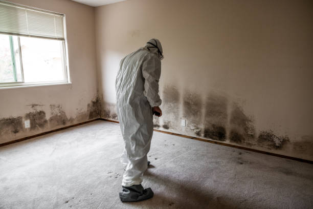 Best Residential Mold Inspection & Testing  in Somerset, WI